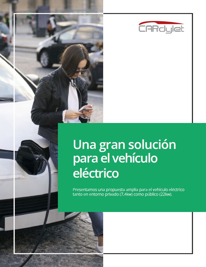 Soluciones Profesionales para el vehículo eléctrico